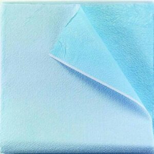 Stretcher Sheet Tidi Everyday Flat 40 X 72 Inch Blue Tissue / Polyethylene Film Disposable