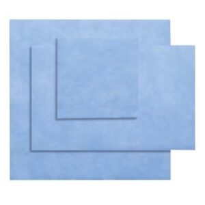 Genesis Sterilization Filter 9.5 X 9.5 Inch