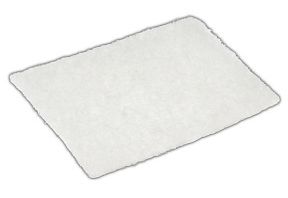 CPAP Filter S9 Series Standard Disposable 12 per Pack White No Tab