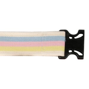 Gait Belt McKesson 60 Inch Length Pastel Stripe Polyester