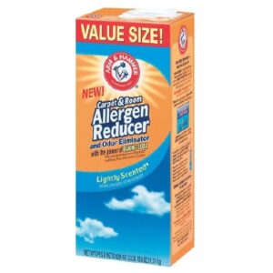 Deodorizer Arm & Hammer Powder 42.6 oz. Box Mild Scent