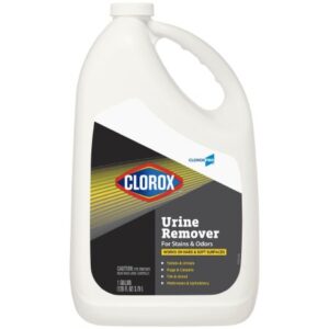 Stain and Odor Remover Clorox Commercial Solutions Clorox Urine Remover Peroxide Based Manual Pour Liquid 1 gal. Jug Fruity Floral Scent NonSterile