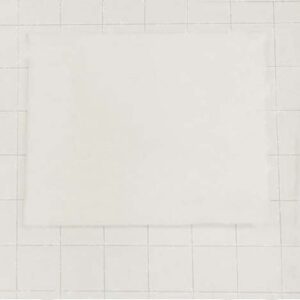 Vacuum Micro Filter Taski by Diversey