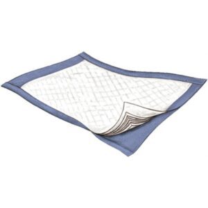Disposable Underpad Passport 22 X 35 Inch Fluff Light Absorbency