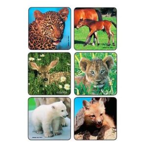 Kids Love Stickers 90 per Pack Baby Animal Photos , Assorted Sticker 2-1/2 Inch