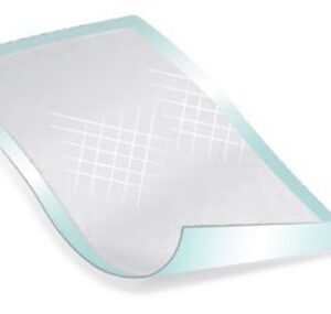 Disposable Underpad Deluxe 23 X 24 Inch Polymer Heavy Absorbency