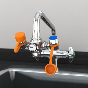 Eyewash Station Guardian EyeSafe Faucet Mount