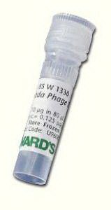 Molecular Biology Reagent Lambda Phage DNA Electrophoresis Grade