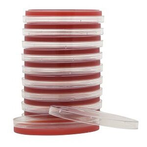 Prepared Media Columbia Naladixic Acid (CNA) Agar with 5% Sheep Blood Red Petri Plate Format