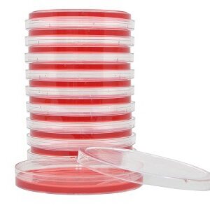 Prepared Media Mannitol Salt Agar Petri Plate Format