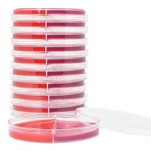 Prepared Media Blood Agar / MacConkey Biplate Red / Crimson Bi-Plate Format