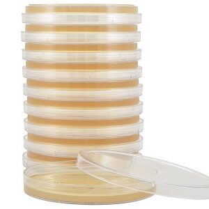 Prepared Media Tryptic Soy Agar (TSA) Petri Plate Format