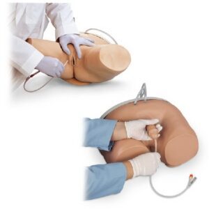Catheterization Trainer Life/form Pelvis Area / Light Skin Tone Male / Female Interchangeable Adult 33 lbs.