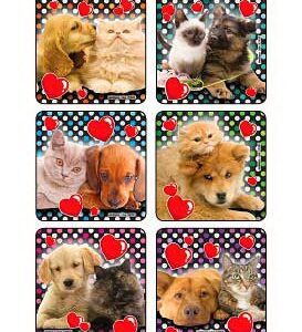 Kids Love Stickers 90 per Roll Lovable Dog n Cat Photos , Assorted Sticker 2-1/2 Inch