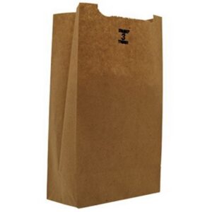 Grocery Bag Duro Brown Kraft Recycled Paper #3
