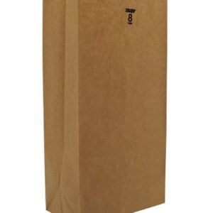 Grocery Bag Duro Brown Kraft Recycled Paper #8