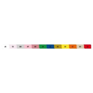 Divider Set Jan, Feb, Mar, Apr, May, Jun, Jul, Aug, Sep, Oct, Nov, Dec