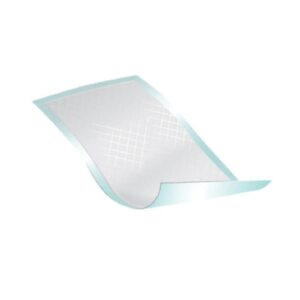 Disposable Underpad Passport 22 X 35 Inch Fluff Light Absorbency