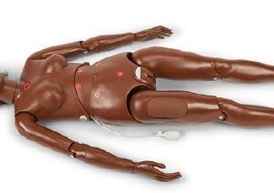 Hospital Training Mannequin with Ostomy Gaumard Susie/Simon Full Body / Dark Skin Tone Male / Female Interchangeable Adult 45 lbs. Vinyl Plastic