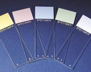 Charged Microscope Slide Superfrost Plus 25 X 75 mm Frosted End