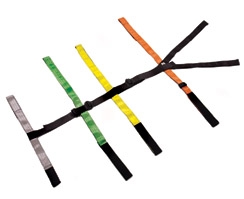 Fastrap Quick Restraint System For Backboard