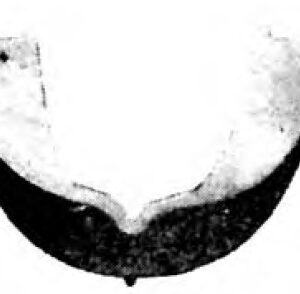 Teeth Guard Gardent Plastic White