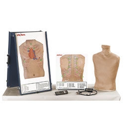 Auscultation Mannequin Deluxe Life/form