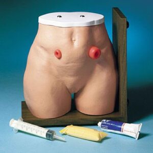 Ostomy Care Simulator Life/form