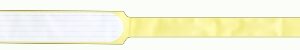 Identification Wristband Soft-Lock Colorguard Write On Band Adhesive Closure Without Legend